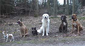 ...Samun vom Quecksilber mit seiner Wandergruppe, Mai 2007