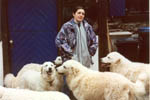 In the courtyard, in front of the pet food shop