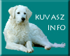 Zu den Kuvasz Info-Seiten